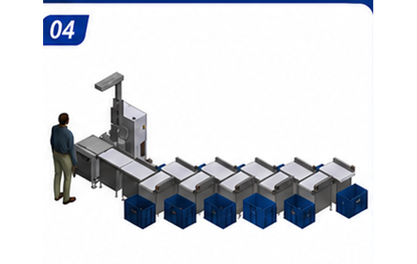CLD-8000P12